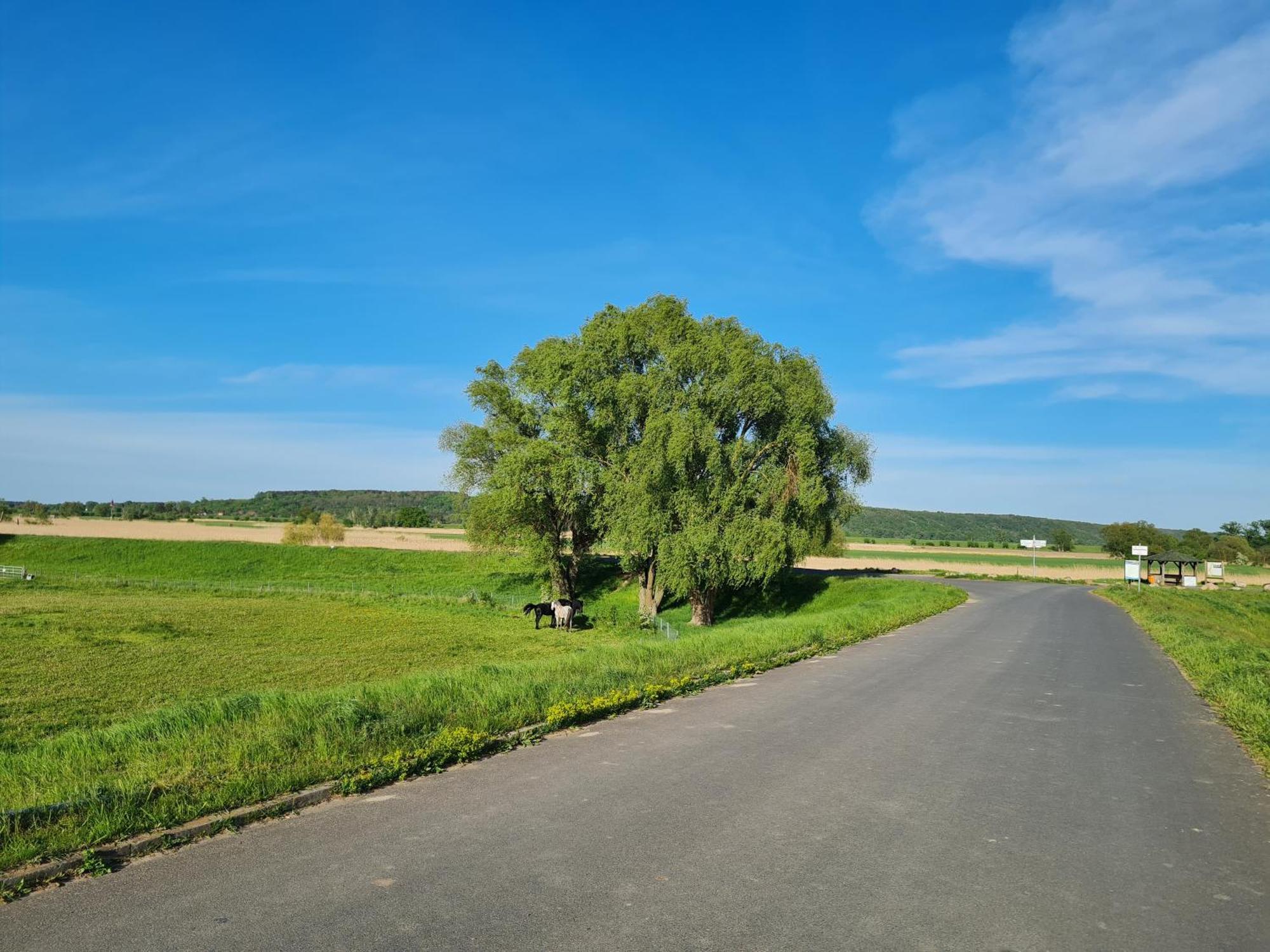 Ferienwohnungen Stolzenhagener 7 Lunow-Stolzenhagen 외부 사진