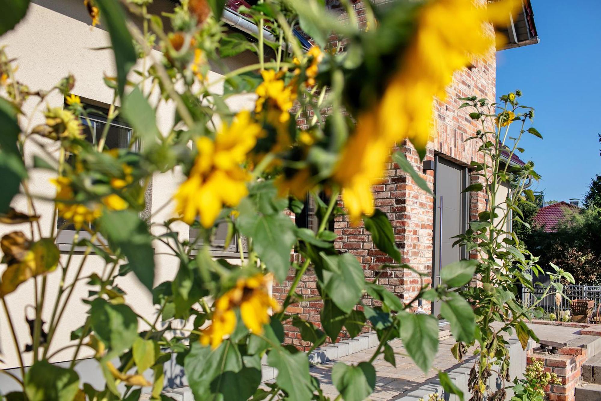 Ferienwohnungen Stolzenhagener 7 Lunow-Stolzenhagen 외부 사진